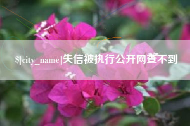 当阳失信被执行公开网查不到