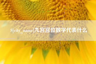 当阳九宫宫位数字代表什么