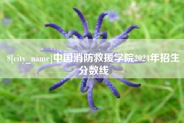 当阳中国消防救援学院2024年招生分数线