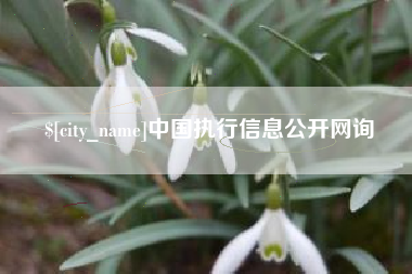 当阳中国执行信息公开网询