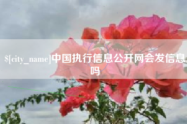 当阳中国执行信息公开网会发信息吗