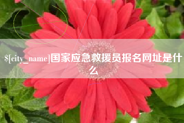当阳国家应急救援员报名网址是什么