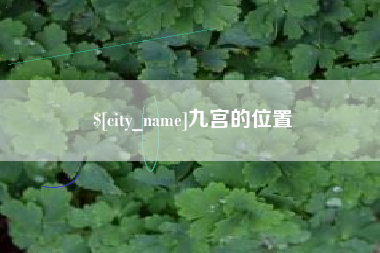 当阳九宫的位置