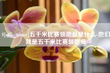 当阳五千米比赛领跑员是什么-他们就是五千米比赛领跑员