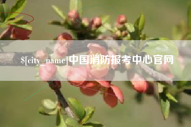 当阳中国消防报考中心官网