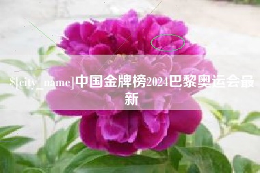 当阳中国金牌榜2024巴黎奥运会最新