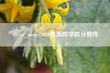 当阳2020年消防学院分数线