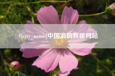 当阳中国消防救援网站