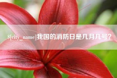 当阳我国的消防日是几月几号？