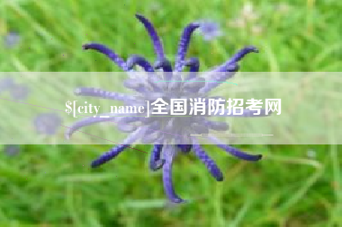 当阳全国消防招考网
