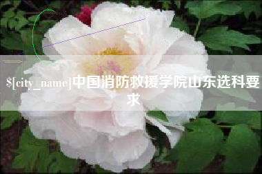 当阳中国消防救援学院山东选科要求