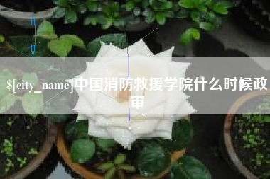 当阳中国消防救援学院什么时候政审