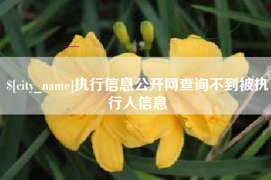 当阳执行信息公开网查询不到被执行人信息
