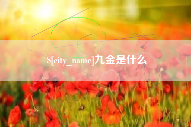 当阳九金是什么