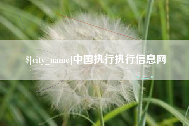 当阳中国执行执行信息网