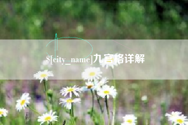 当阳九宫格详解