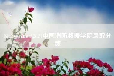 当阳2021中国消防救援学院录取分数