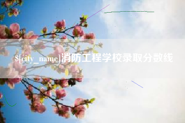 当阳消防工程学校录取分数线