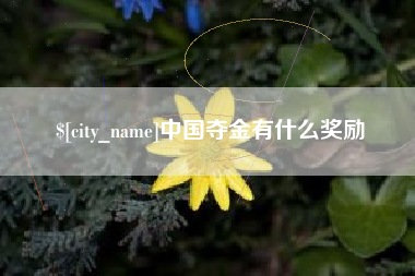 当阳中国夺金有什么奖励