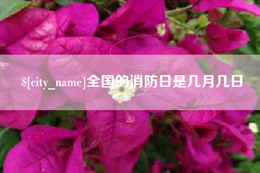 当阳全国的消防日是几月几日