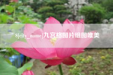 当阳九宫格图片组图唯美