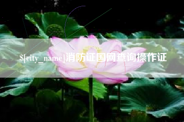 当阳消防证国网查询操作证