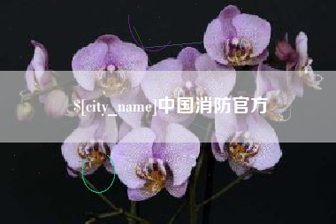 当阳中国消防官方