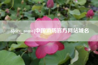 当阳中国消防官方网站域名