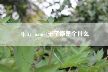 当阳王子豪是个什么