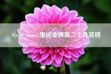 当阳奥运金牌第二个九宫格