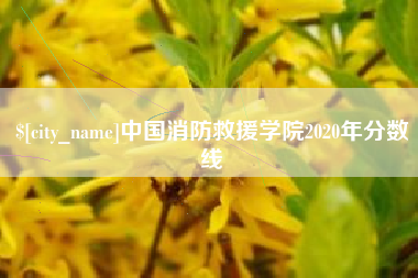 当阳中国消防救援学院2020年分数线