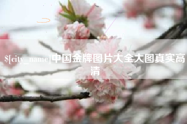 当阳中国金牌图片大全大图真实高清