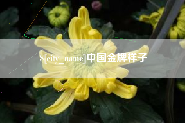 当阳中国金牌样子