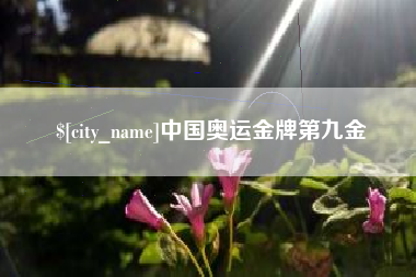 当阳中国奥运金牌第九金
