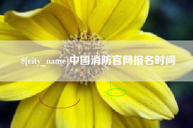 当阳中国消防官网报名时间