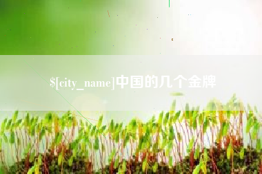 当阳中国的几个金牌