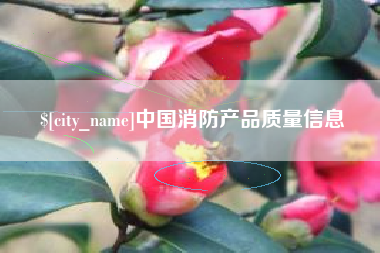 当阳中国消防产品质量信息