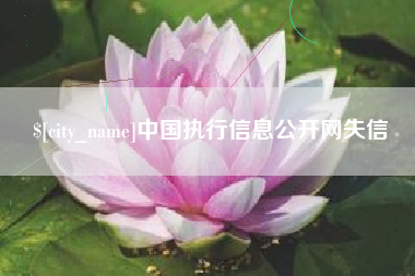当阳中国执行信息公开网失信