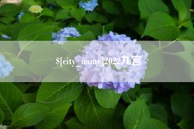 当阳2022九宫