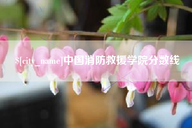 当阳中国消防救援学院分数线