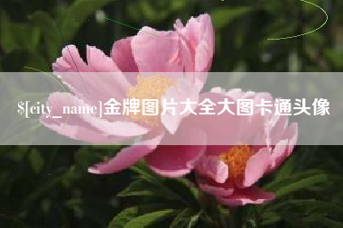 当阳金牌图片大全大图卡通头像