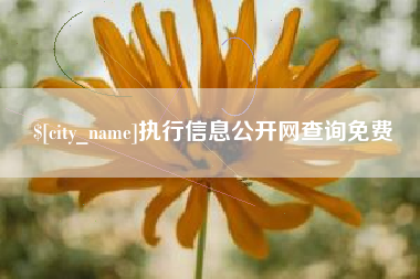 当阳执行信息公开网查询免费