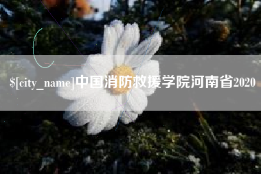 当阳中国消防救援学院河南省2020